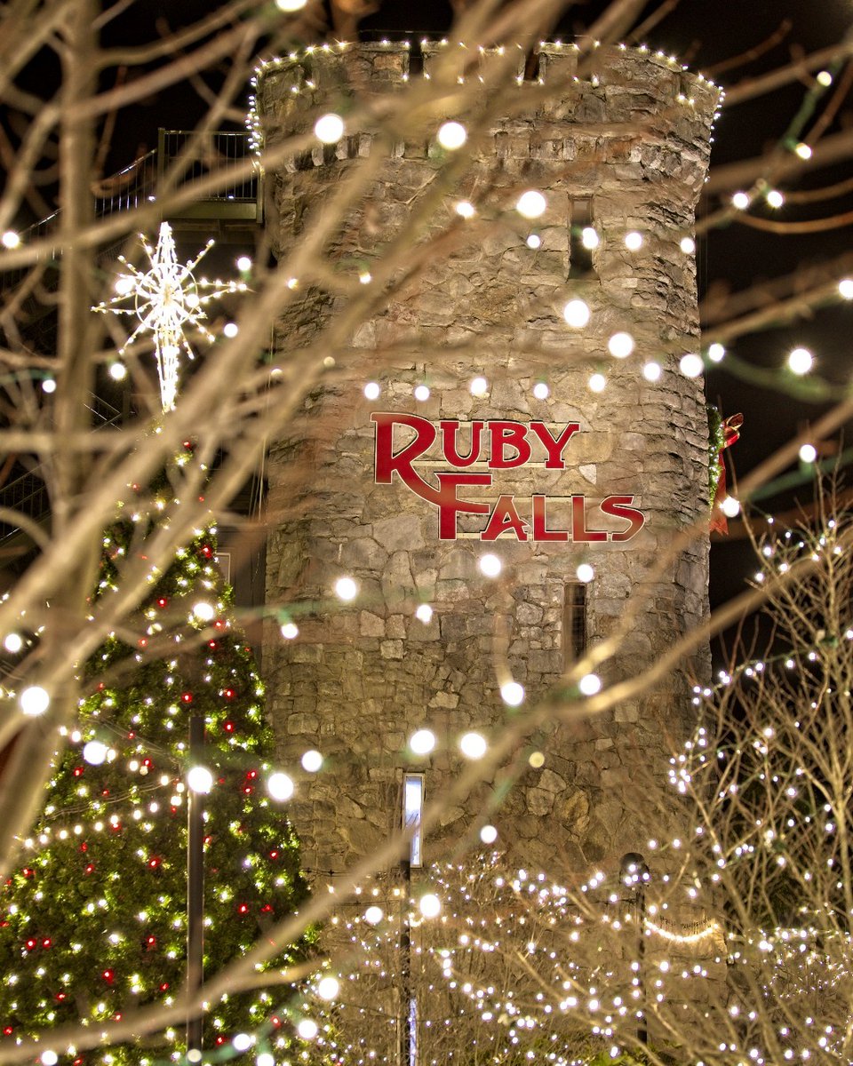Happy Holidays! We want to wish all who celebrate a Merry Christmas and a Happy Hanukkah!