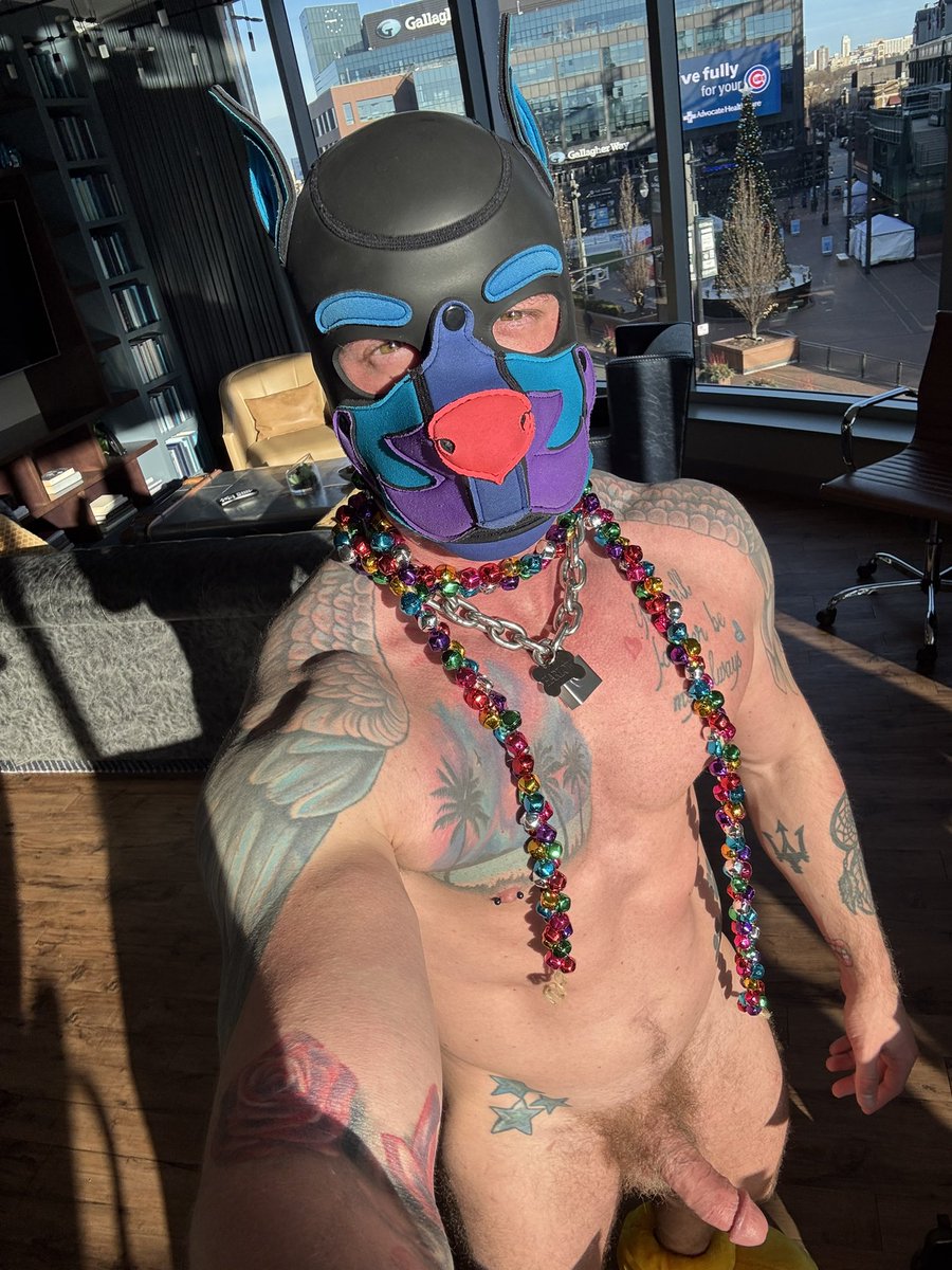 PupHarlow's tweet photo. Merry Christmas from this derpy puppy! Hope everyone had a great holiday 🎄🩷💙🐾 https://t.co/OKMXp1Y7o1