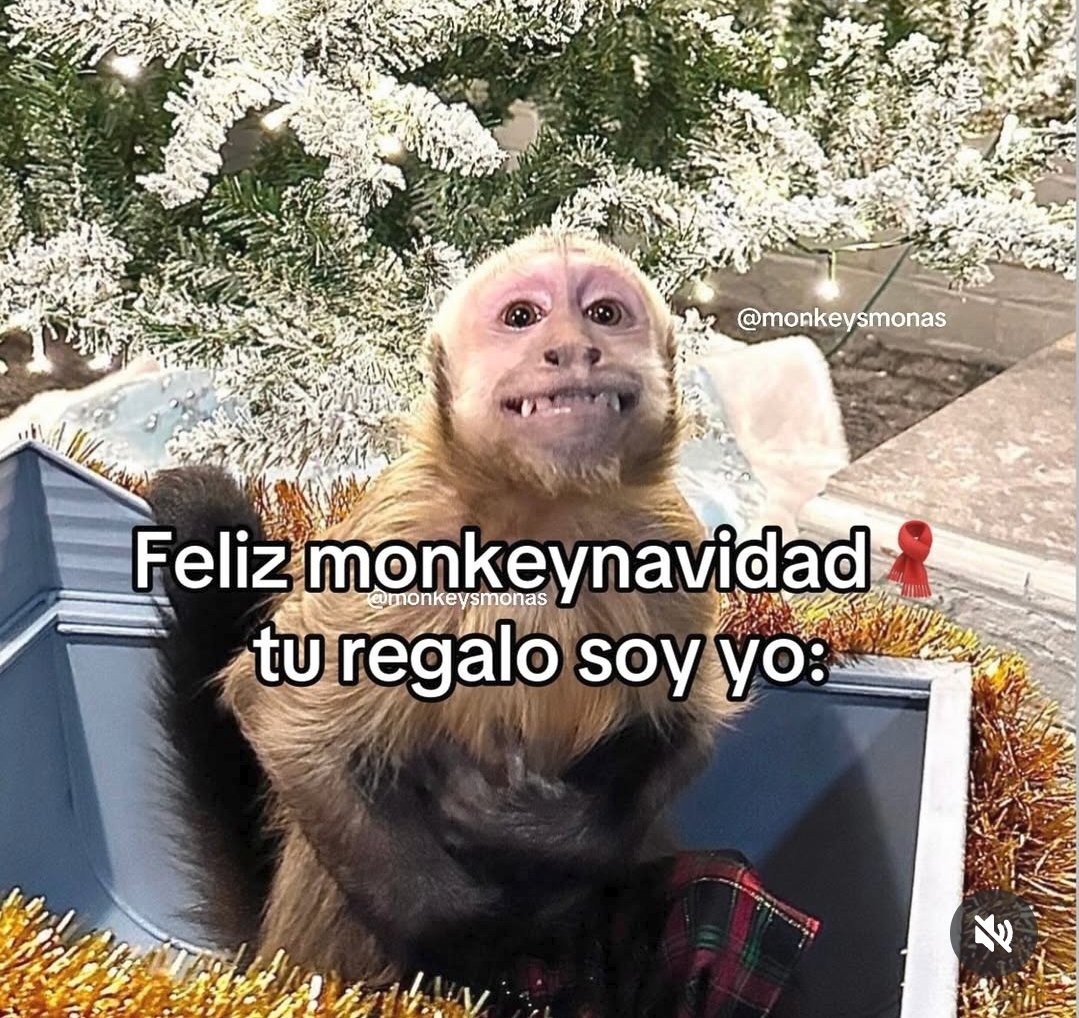 Miry Runner Sin Fronteras ® tweet media