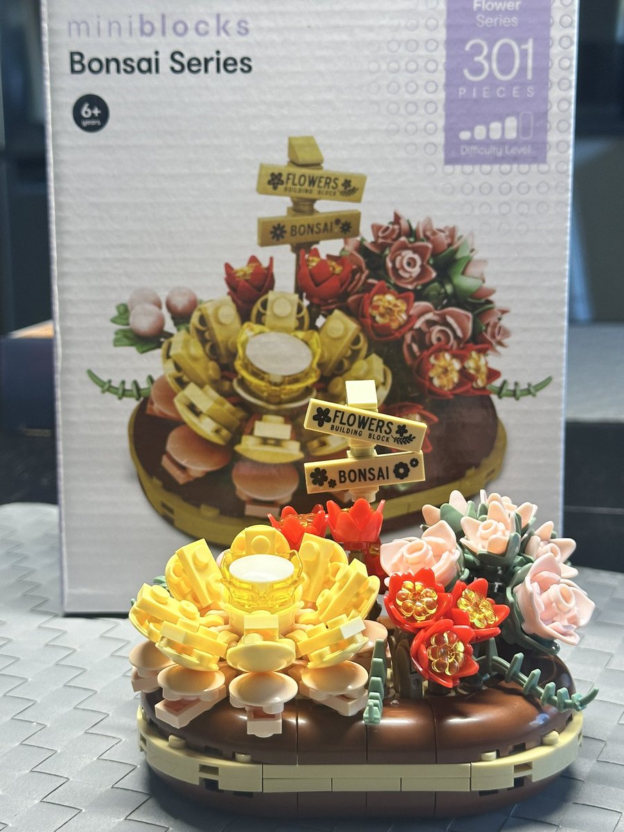 Stephanie MacFadyen tweet media