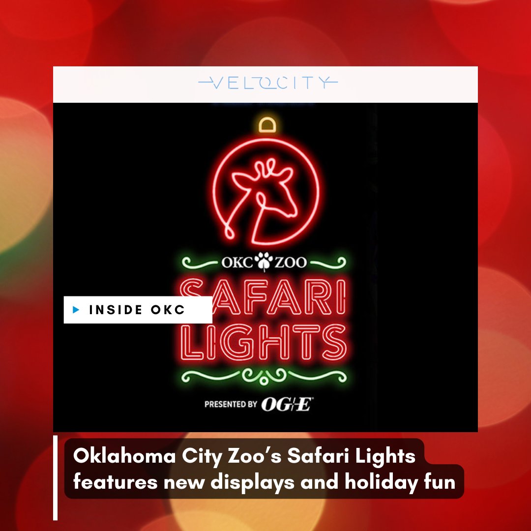 Celebrate the season with festive light displays and wildlife-themed sculptures at the OKC Zoo’s Safari Lights, now through January 1!

For more details: bit.ly/3Pa7r6D