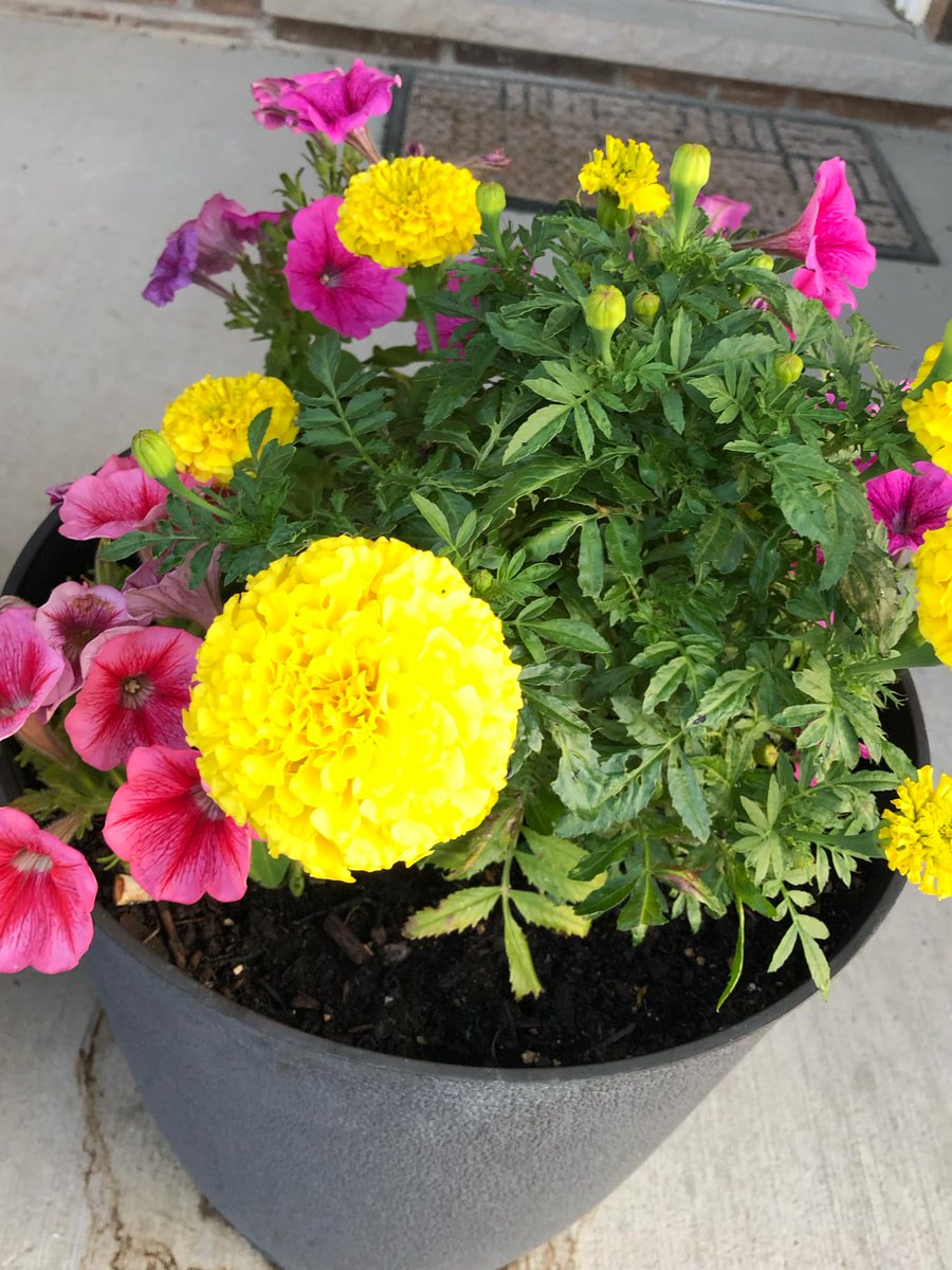 💐