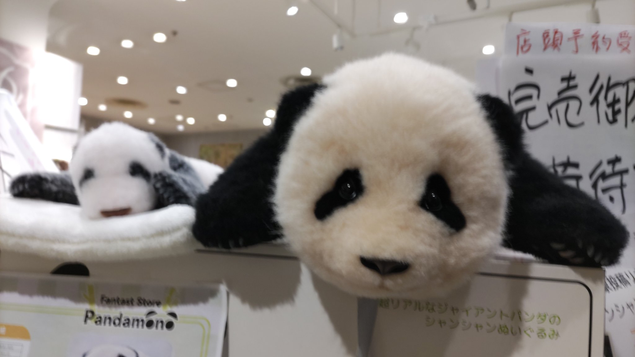 シャンシャン　ぬいぐるみ Amazon.co.jp: 抱っこシャンシャン 3rd anniv ぬいぐるみ