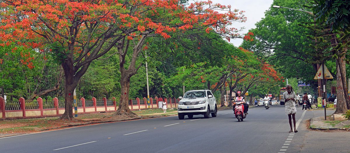 CLEAN MYSURU (@cleanmysuru) on Twitter photo Renaming of Princess Krishnirajammani road one of the historical figure of Wodeyar dynasty to CM <a href="/siddaramaiah/">Siddaramaiah</a> Arogya road is totally disgraceful. We protest against MLA Harish Gowda and <a href="/mysurucitycorp/">ಮೈಸೂರು ಮಹಾನಗರ ಪಾಲಿಕೆ Mysuru City Corporation</a> for publishing such notification. <a href="/CPMysuru/">Commissioner of Police Mysuru</a> <a href="/MysuruMemes/">Mysuru Memes</a> Renaming of Princess Krishnirajammani road one of the historical figure of Wodeyar dynasty to CM <a href="/siddaramaiah/">Siddaramaiah</a> Arogya road is totally disgraceful. We protest against MLA Harish Gowda and <a href="/mysurucitycorp/">ಮೈಸೂರು ಮಹಾನಗರ ಪಾಲಿಕೆ Mysuru City Corporation</a> for publishing such notification. <a href="/CPMysuru/">Commissioner of Police Mysuru</a> <a href="/MysuruMemes/">Mysuru Memes</a>