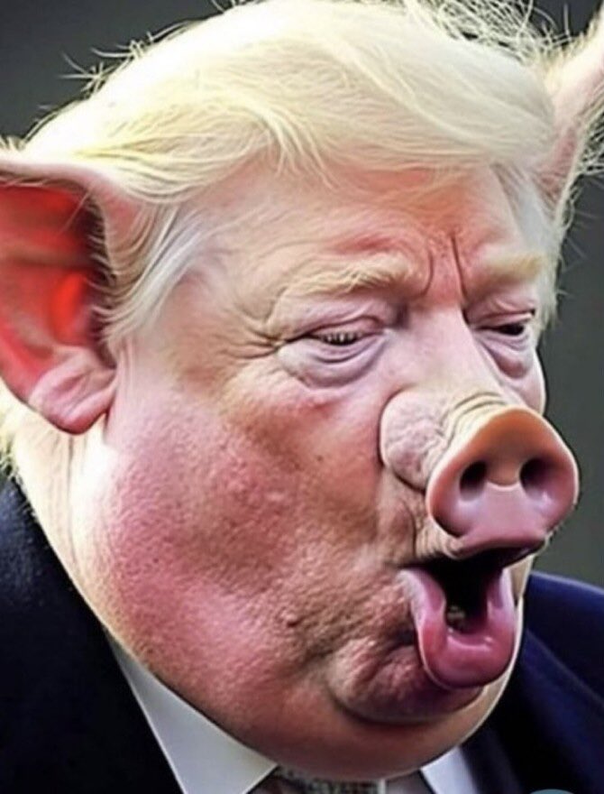 <a href="/raggapegs/">Voice of Reason</a> Calling him a “lady” would be a big stretch. 😂🤡 #PresidentMusk