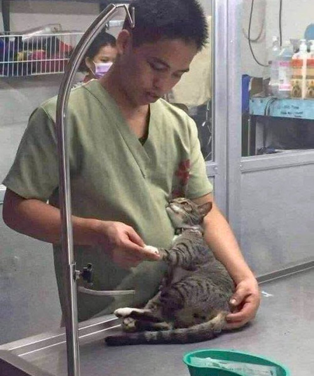 he loves the vet 🥹
