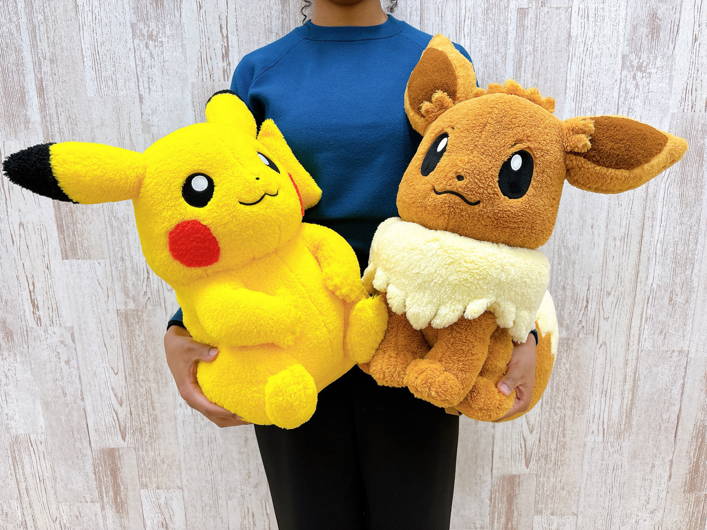 在庫一掃セール売れ筋ランキング ポケモンだいすきクラブ編集部【公式】 on X:  ぬいぐるみ