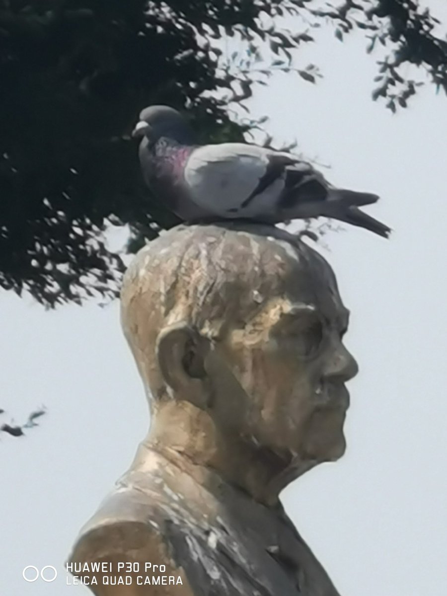 AugustoTokumori's tweet image. #p30pro  periscope lens #zoom