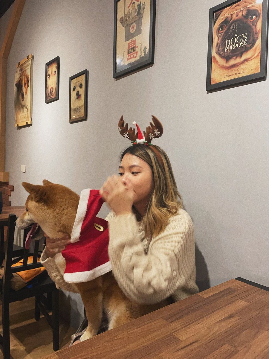 adadogpool's tweet image. May this Christmas bring you endless joy, cherished moments, and love. Merry Christmas, dear Cardano community! 🐶 
#Dogpool #CardanoCommunity #CardanoGirls