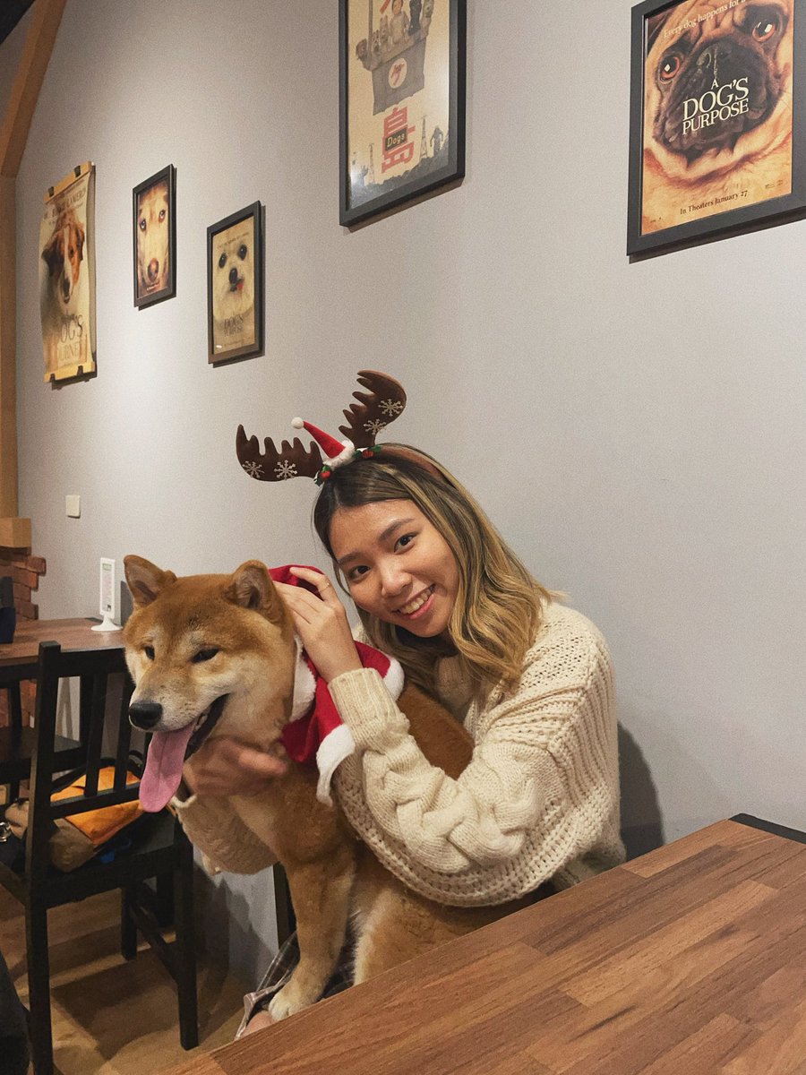 adadogpool's tweet image. May this Christmas bring you endless joy, cherished moments, and love. Merry Christmas, dear Cardano community! 🐶 
#Dogpool #CardanoCommunity #CardanoGirls