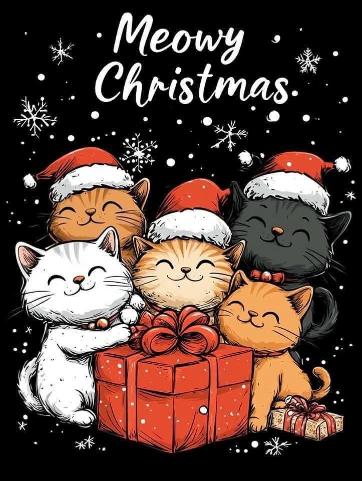 Merry Christmas to all! 🎄