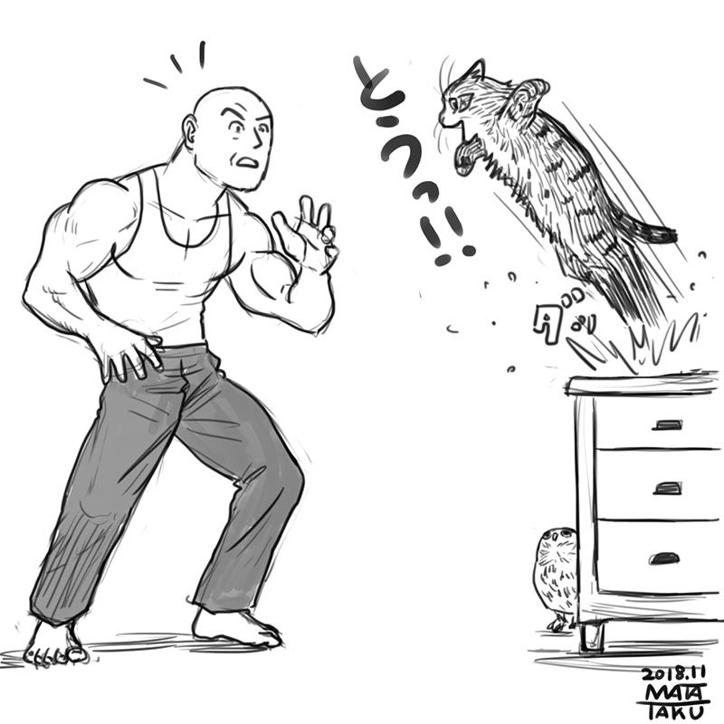 猫フク 勝負 をpixivに投稿しました😄🐱🦉

https://t.co/DWMYAzes85 