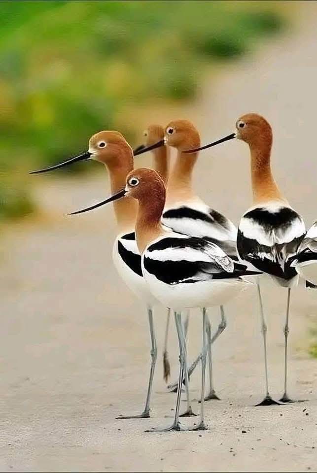 Gud morning ❤️ friends