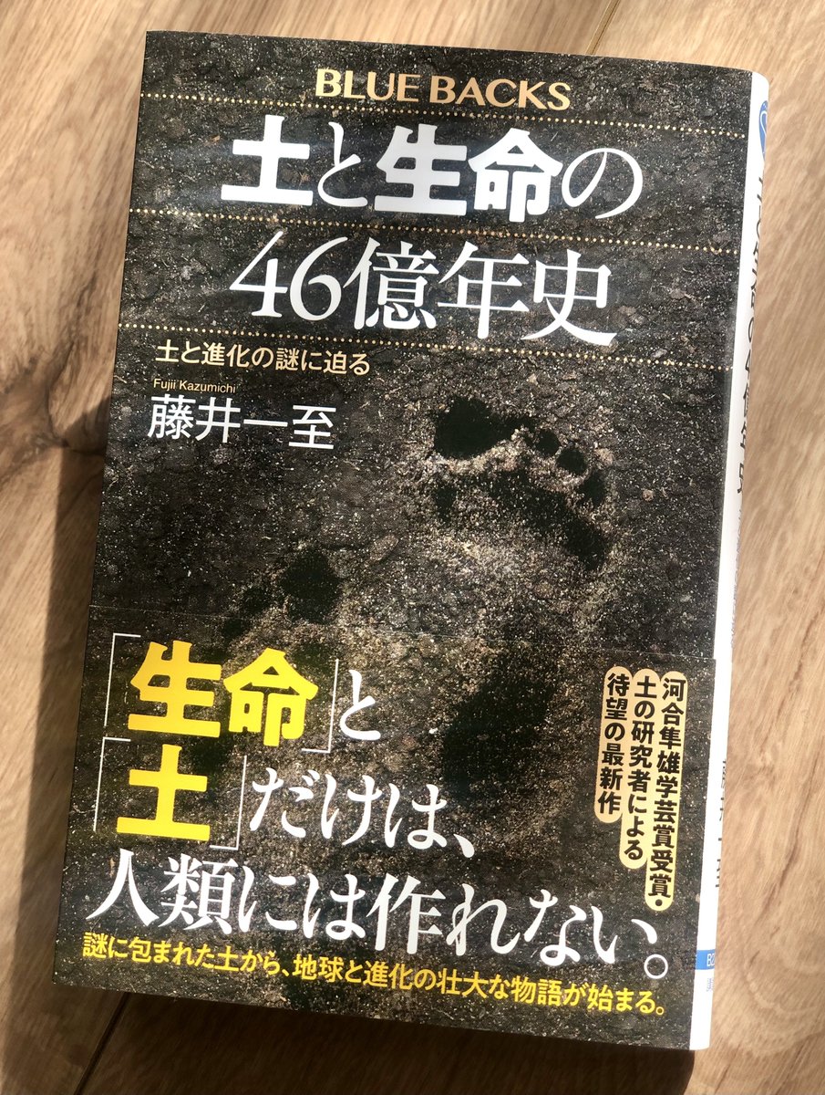 【たかぼー】8月20日テキスト出品 ハガキ/ポストカード｜紙シリーズ｜ポストカード しだれ桜柄