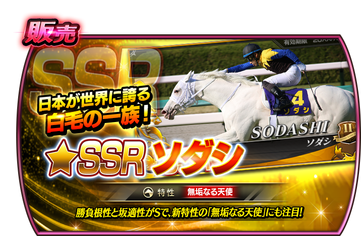 明日1/1(水)15時より、 牝馬販売にソダシが初登場！ 日本が世界に誇る
