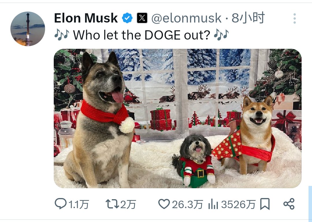 Nova Skye tweet media