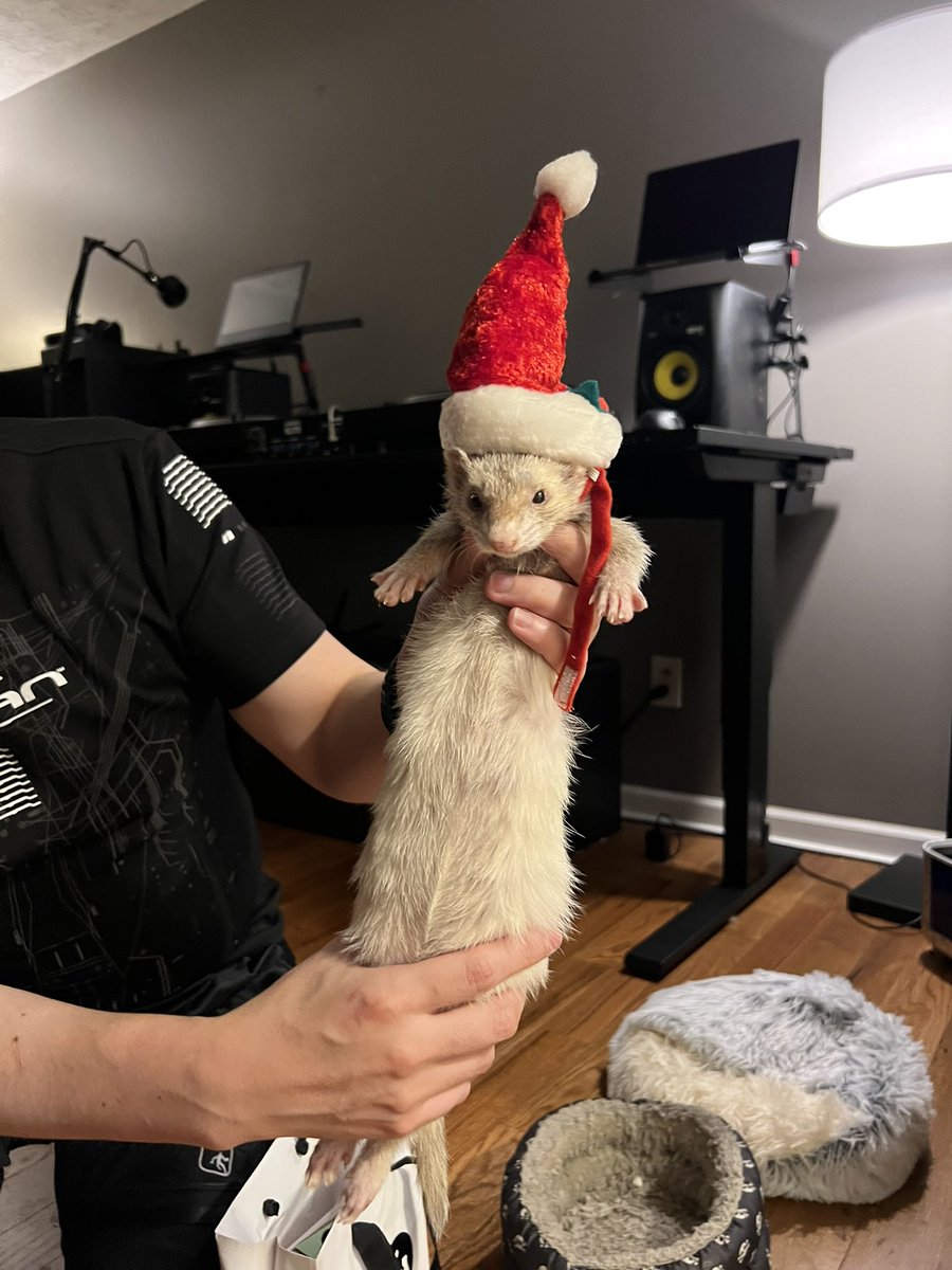 shoobydoo tweet media