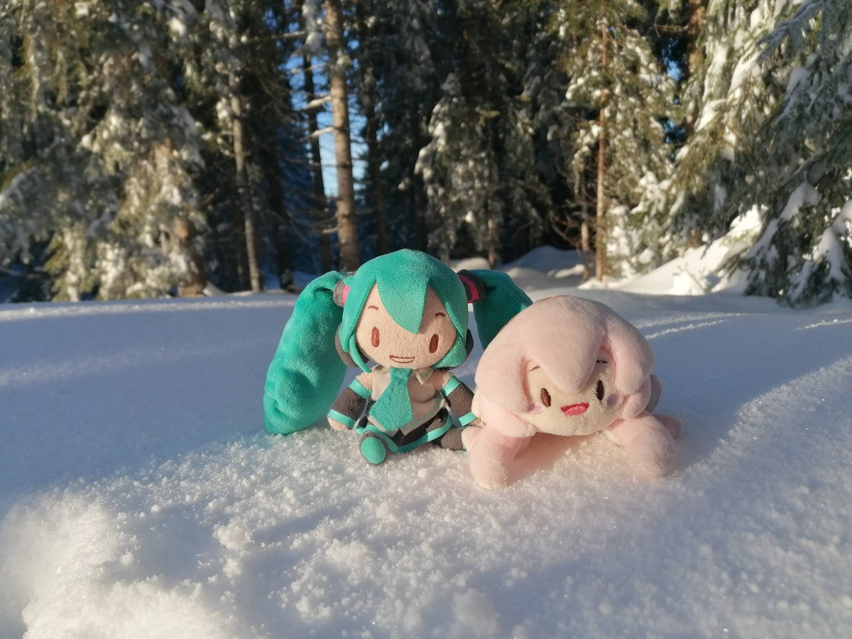 StefanPruner's tweet photo. クリスマス散歩はバスで隣の山に行ってきました。ぬいぐるみたちが同伴しました。
たくさんの雪が降ってきました。

#初音ミク
#ぬいぐるみの時間 https://t.co/tvSwHouag6