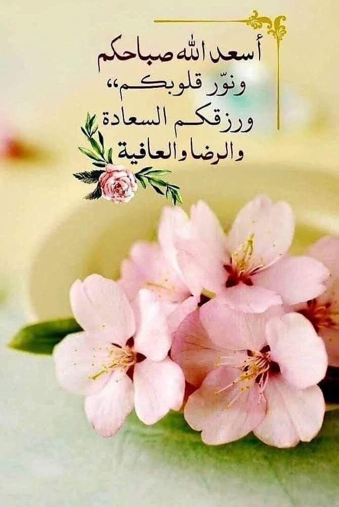 Ayman Sadik Zaker (@zakerayman) on Twitter photo 