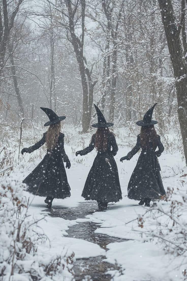 ReReGothic's tweet photo. ❄️🖤 https://t.co/gGpvPvLnKy
