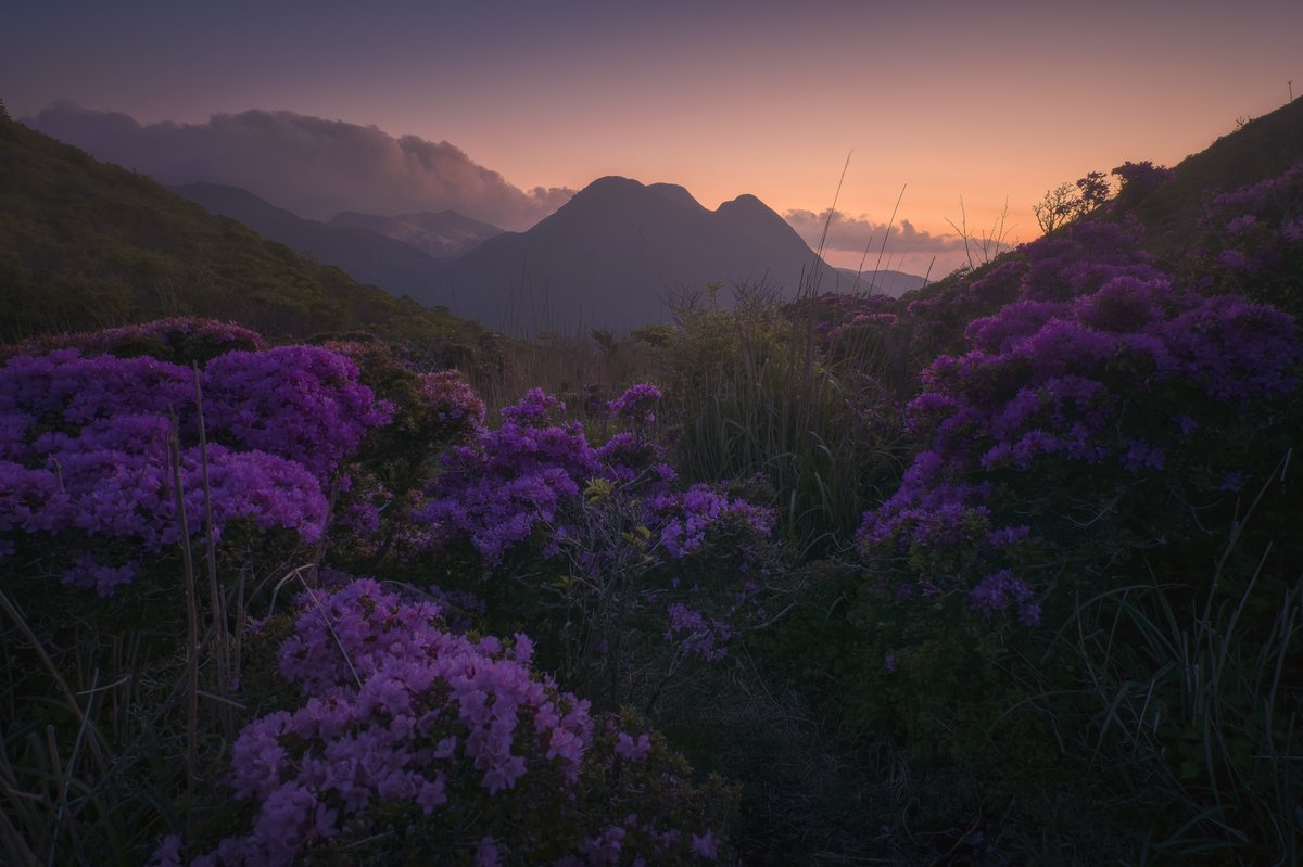 dik_photo's tweet image. #2024年自分が選ぶ今年の4枚

今年はフォトコンの結果が全くだったのは悔しいところだけど初めての写真展参加して色んなものを吸収できて色々勉強出来た1年だったなぁということで来年はもっと撮影と編集頑張ります💪

#landscape #nature #photo
#tokyocameraclub