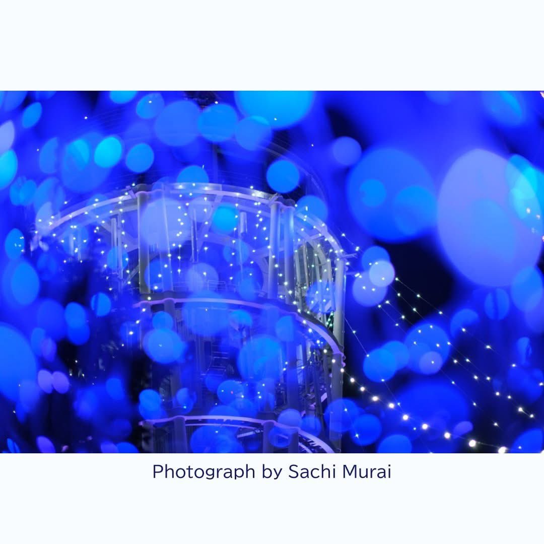 AlohaPhotoWorks's tweet photo. みなさま、こんにちは！2024年もあともう少しですね。
2025年1月4日（土）は初詣、撮影会、新年会を開催します。2025年もカメラと一緒に楽しみませんか？
詳細、お申し込みはこちらから↓
https://t.co/CVIGvnFNkt https://t.co/y1v9N0YtTI
