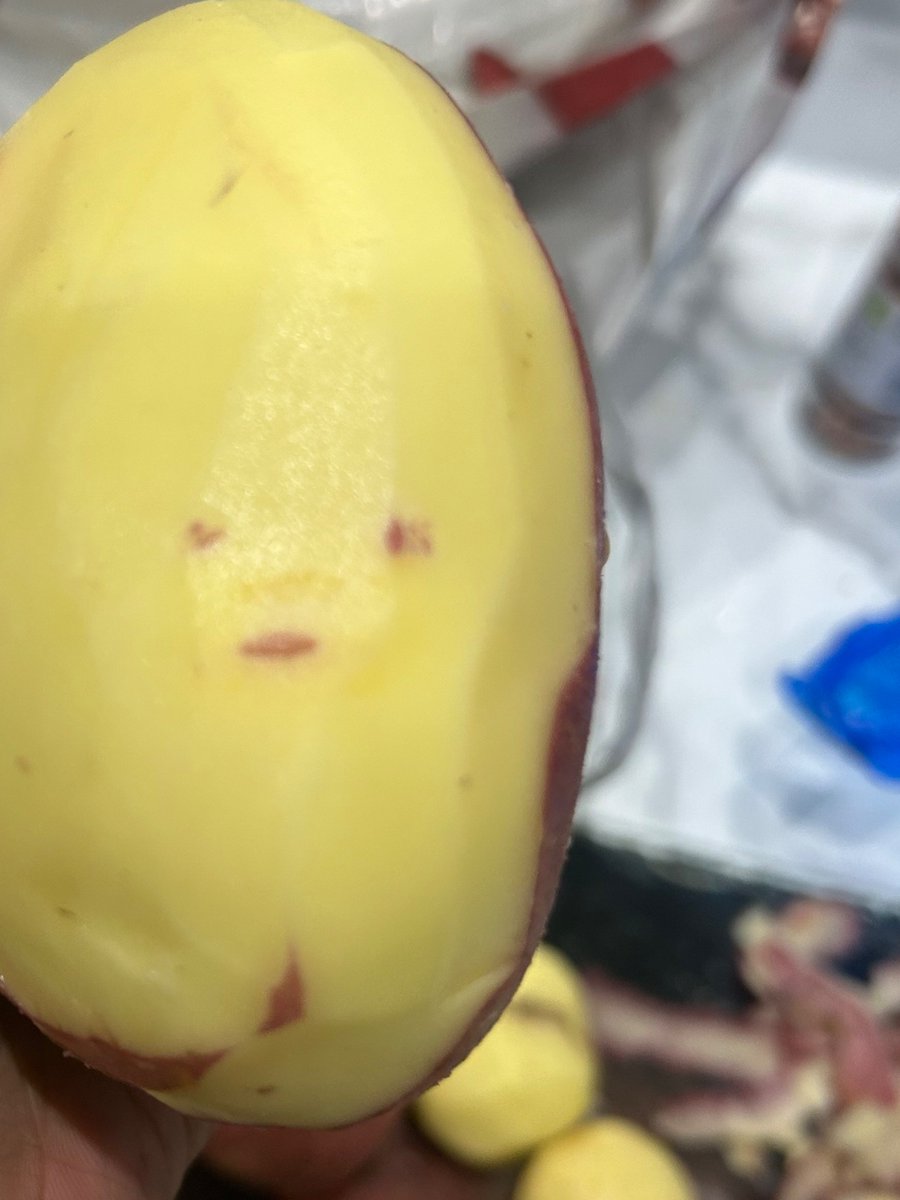 KosarAli tweet media