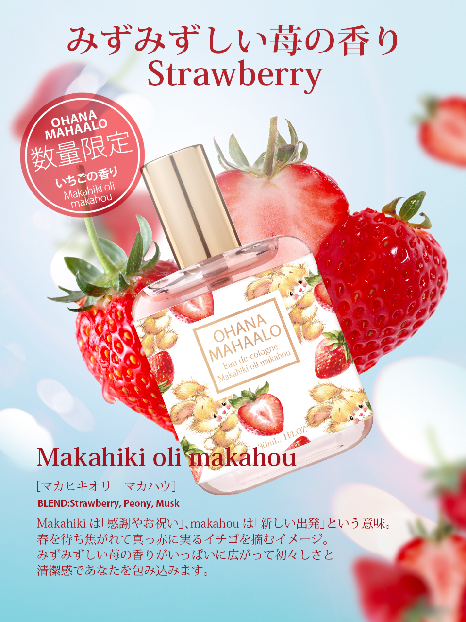 いちごと花❣️オーダー専用❣️セット ◎JA筑前あさくら『博多あまおう』DX 約250g×2P ※2月下旬頃