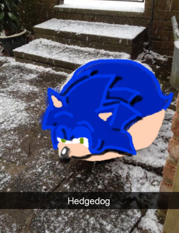 404X_Vincent's tweet photo. @contextdogs why'd I do this. why did I think this was funny. https://t.co/cr3PmnoGxG