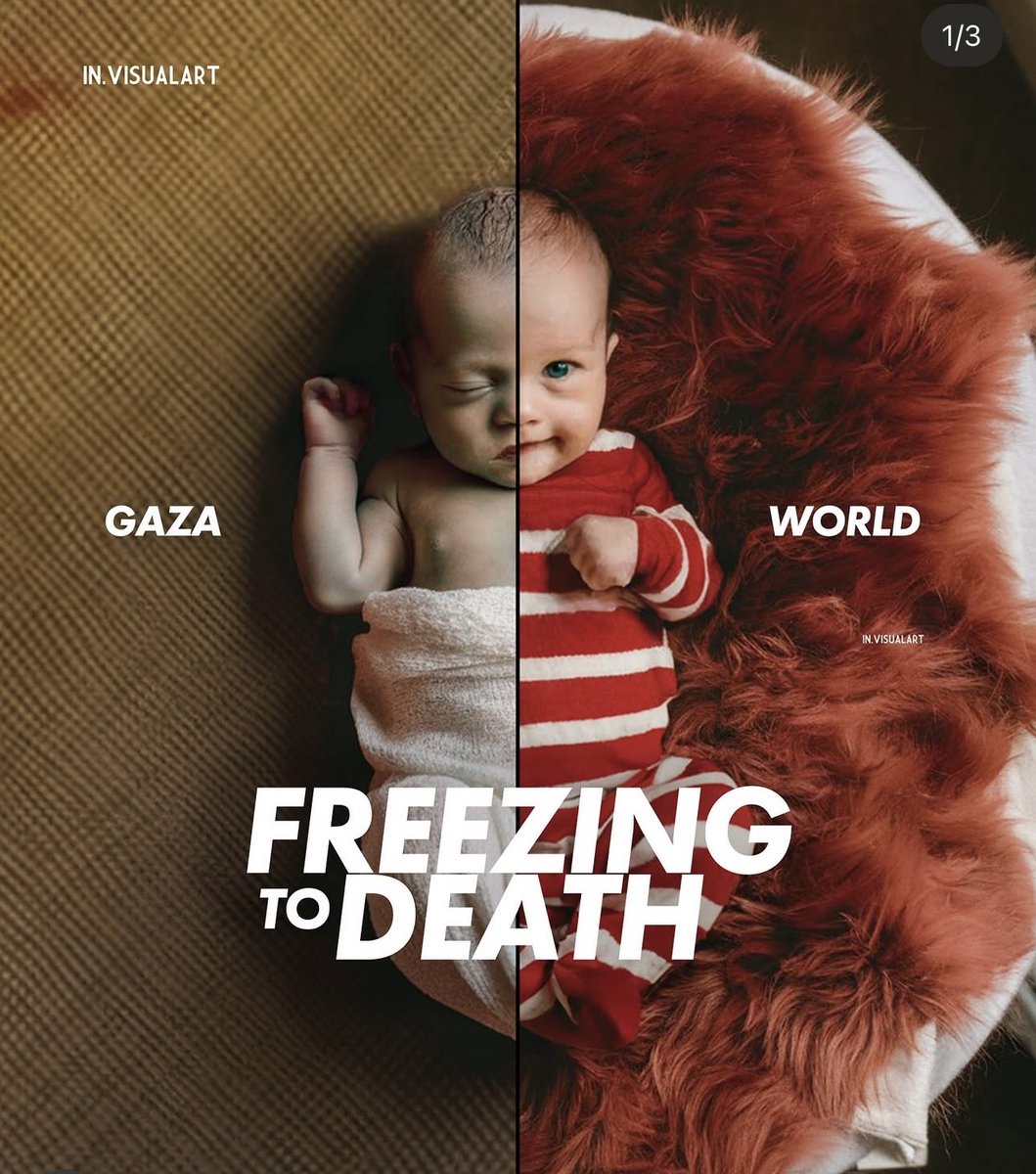 If you see this pic, Reply with 🇵🇸 to spread it!