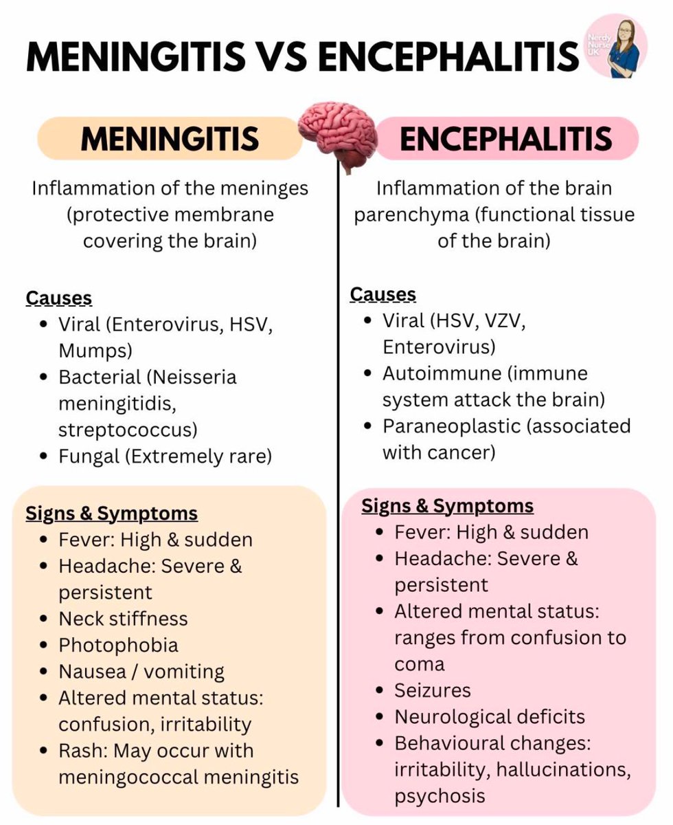 Dr Honey choudhary 🩺 (@doctors__squad) on Twitter photo 