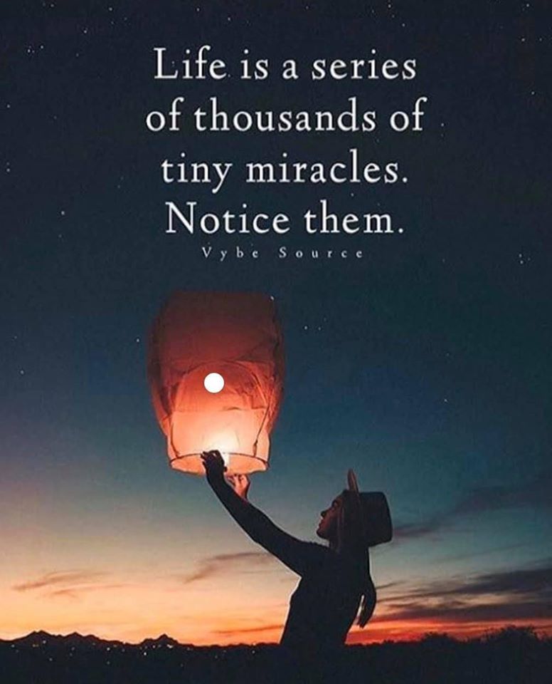 joyceloganphd's tweet photo. YOU are a miracle, a unique part of this wondrous world. When you choose to see your life through the lens of gratitude, everything around you transforms, and the magic of existence becomes undeniable. ✨️ https://t.co/O2NKgwV4gX