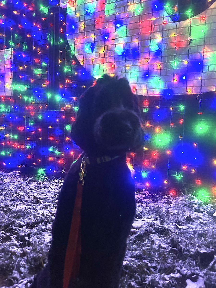 Jamie SB tweet media