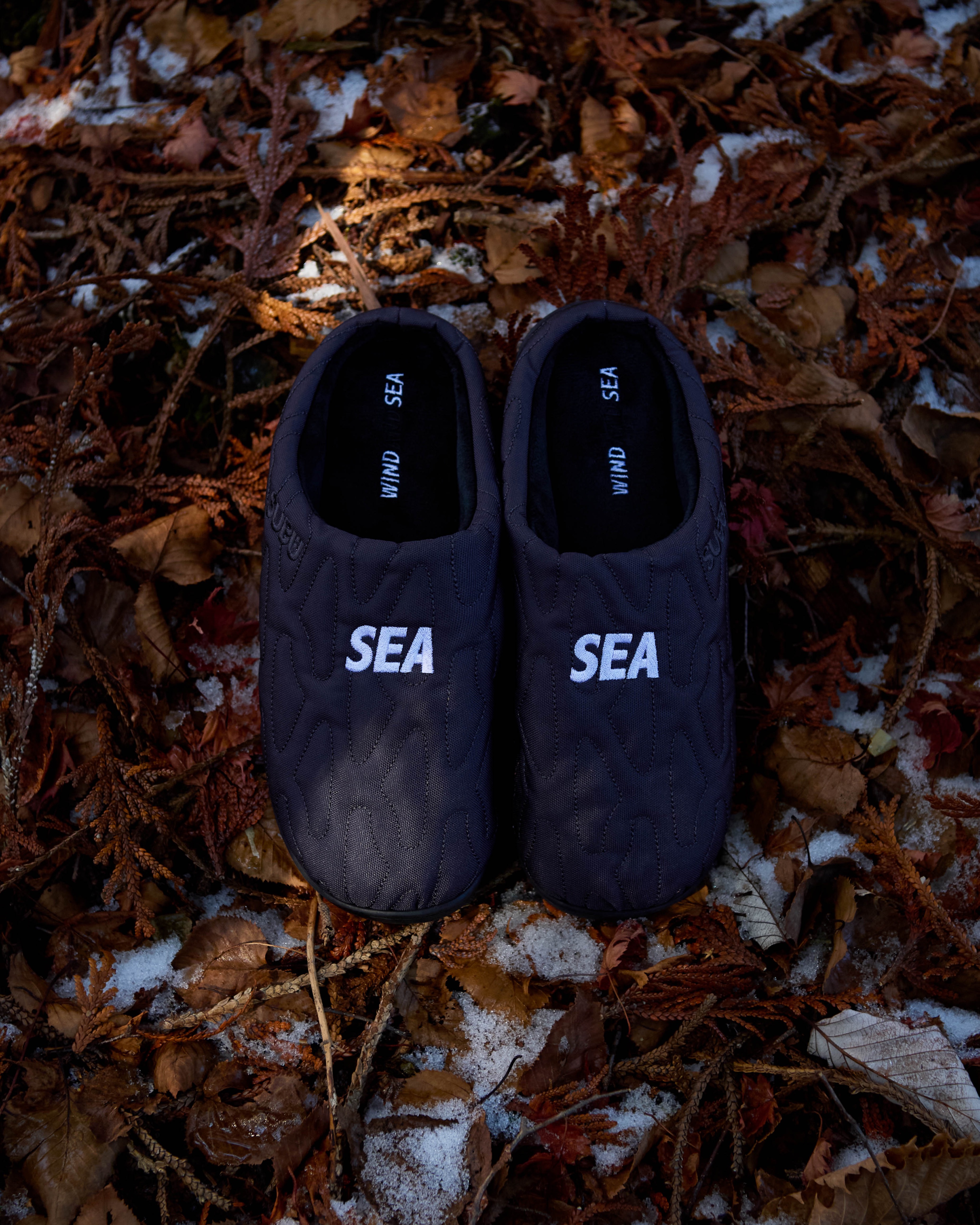 WIND AND SEA on X: WIND AND SEA on X:
