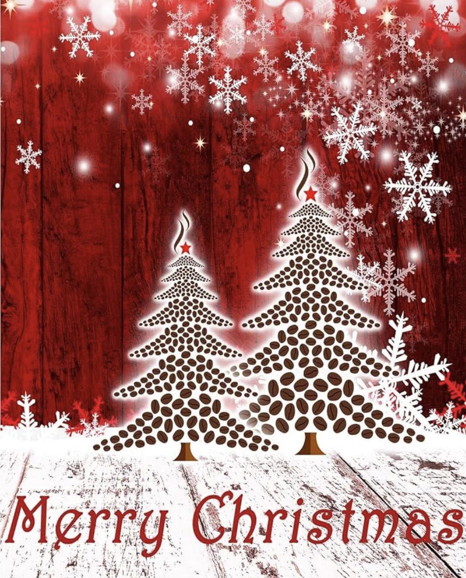 Merry Christmas to all who celebrate! #Dysautonomia #POTS #POTSparents #LongCovidKids