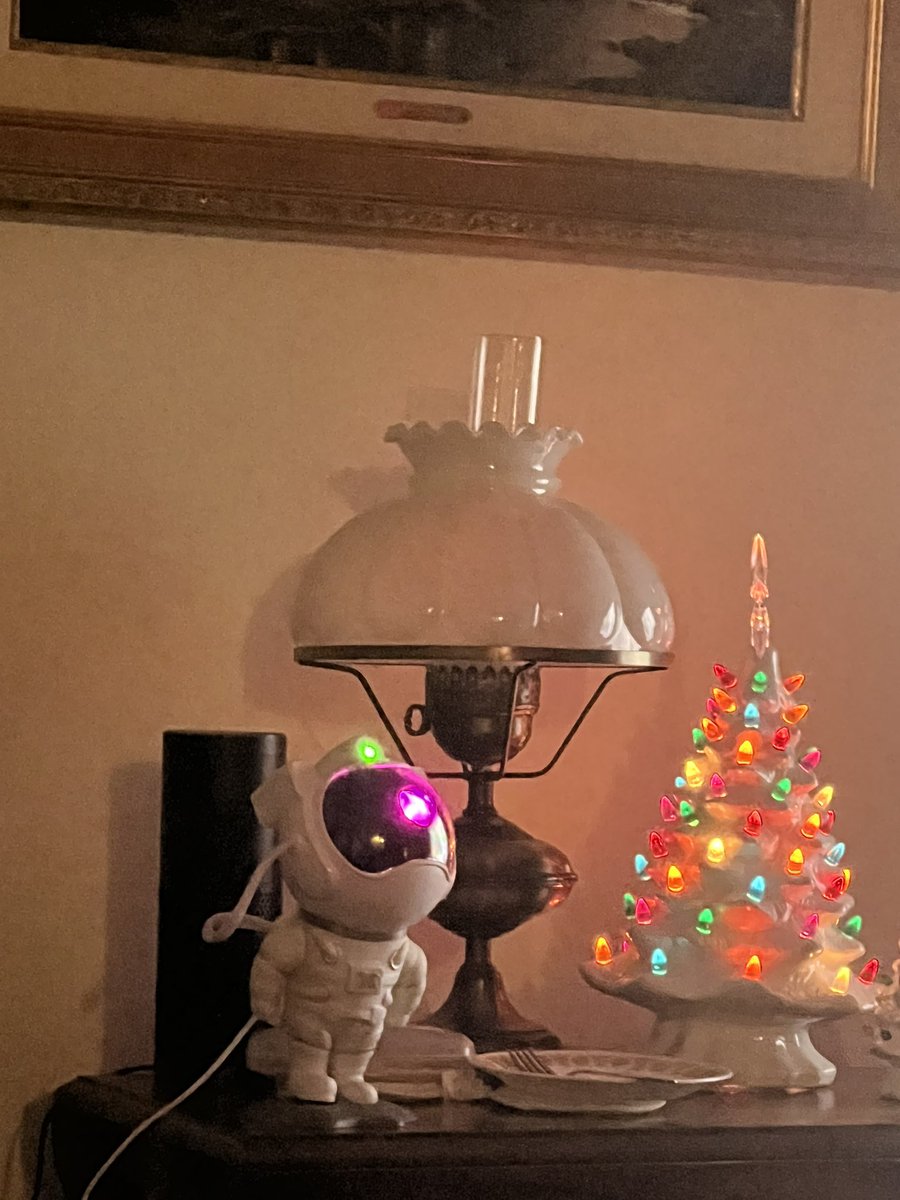 Warriortotruth's tweet photo. I got my Nephewβs these really cool Spaceman Lights for there bedrooms. They had such fun with them at my Moms today. They were even doing the Trump Dance on their own lol. #MAGAKids ππ https://t.co/u6V14Z9b6d