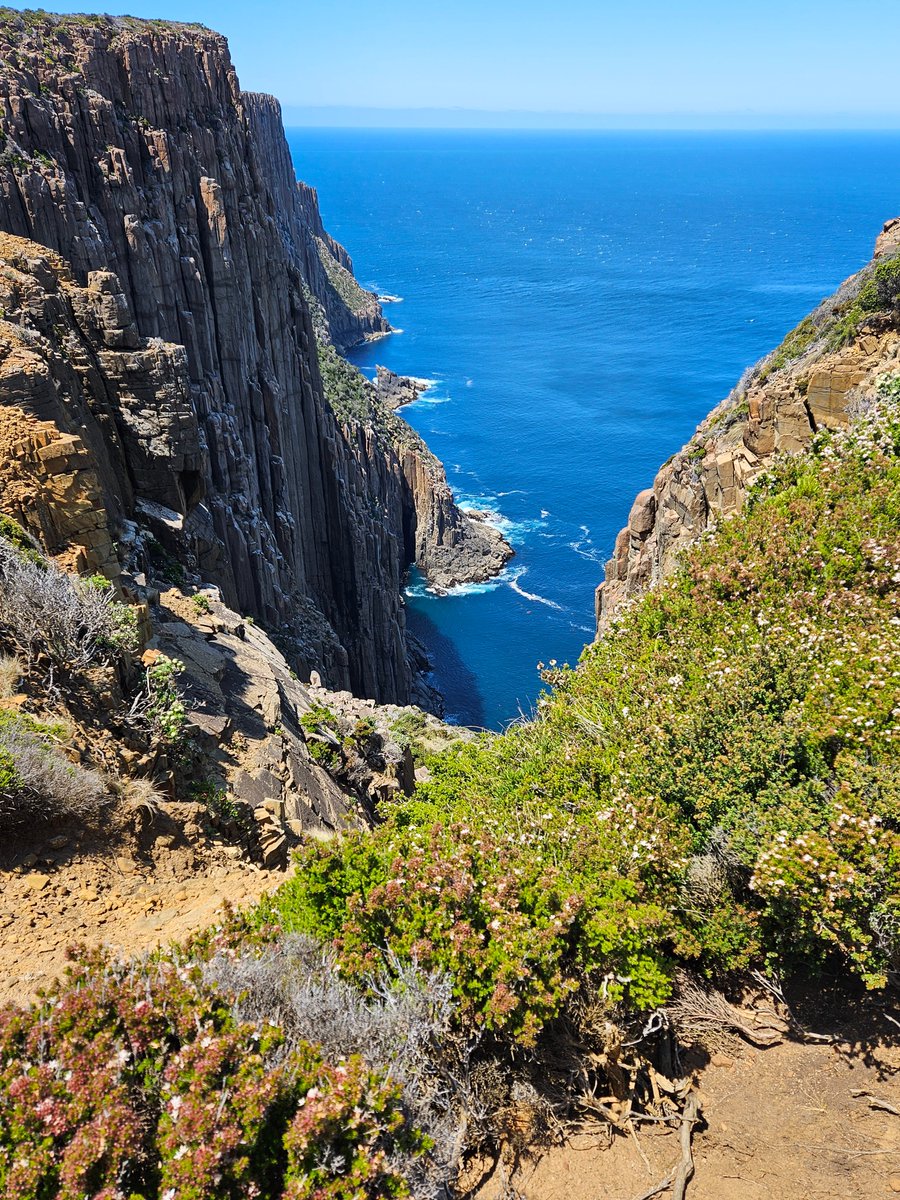 z_baram's tweet image. Merry xmas, happy hannukah and, despite everything, a wonderful rewarding 2025 to everyone! I am back from the other end of this live planet. Cape raoul. Tasmania. Nothing but blue till Antarctica. This acct is open yet inactive. Find me in the blue (talliezee.bsky.social)