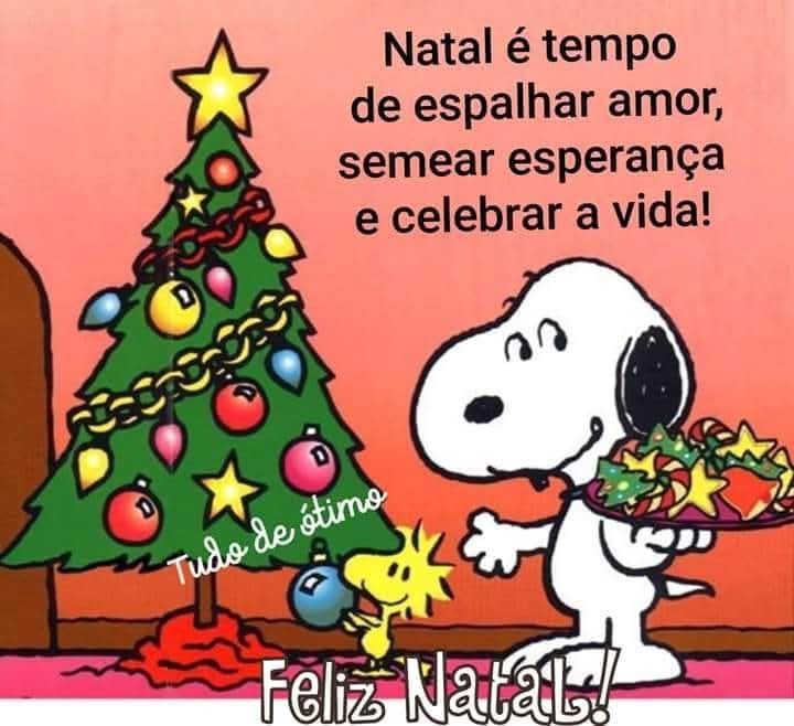 edmeia51's tweet photo. *Natal de 2024 : eu , Naiara , minha nora e Lívia , minha neta ! 🩵🩵🩵 - ( O filho estava trabalhando e a filha , na casa de uma amiga ! ) - https://t.co/RsjNleUMjY