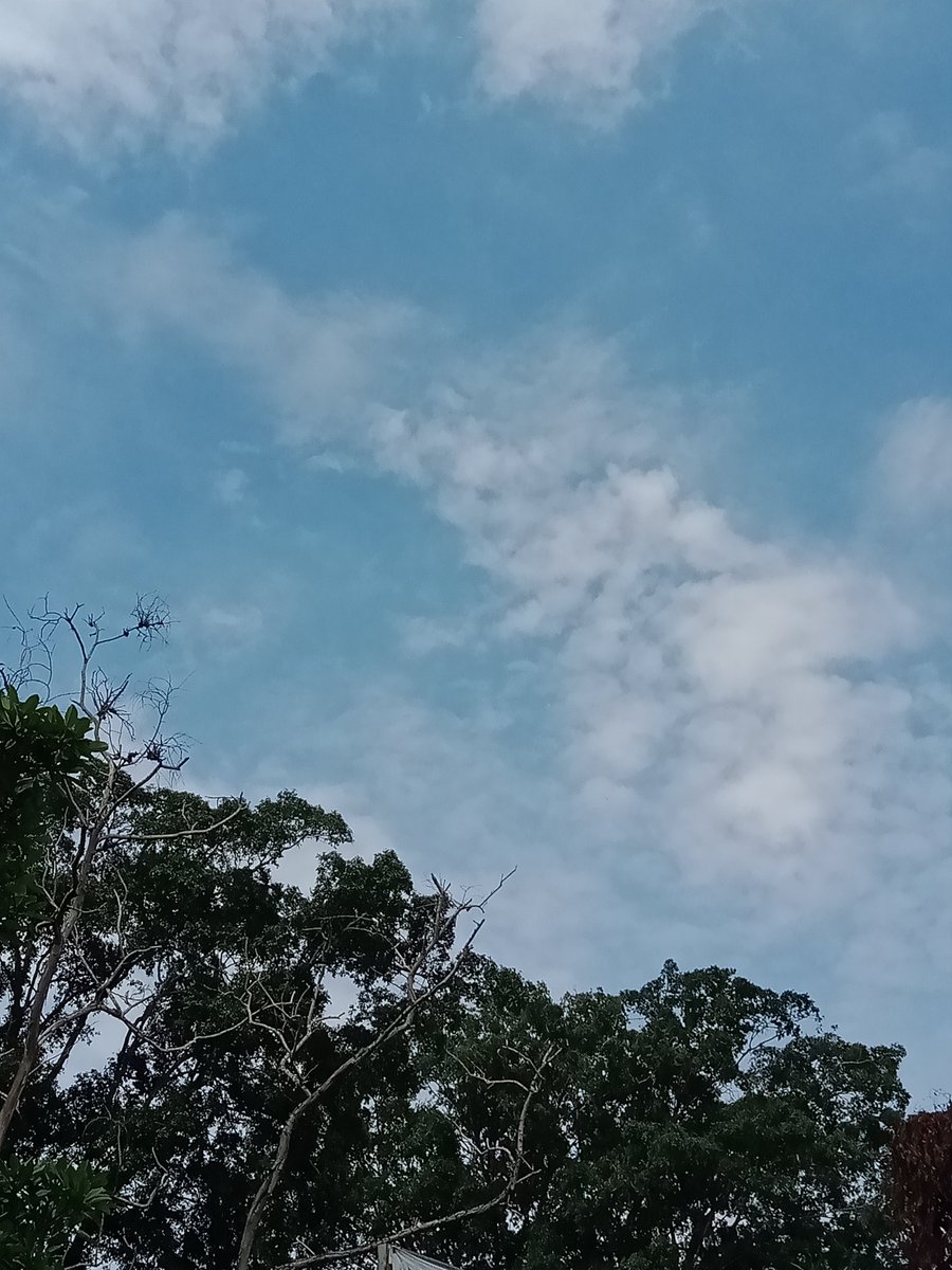 dmyntiii_'s tweet photo. @sbyfess No edit², Oppo A5s https://t.co/rr5csrhLyq