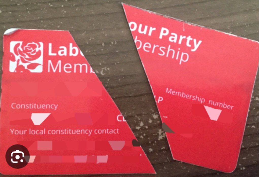 Steve Adelantado. tweet media