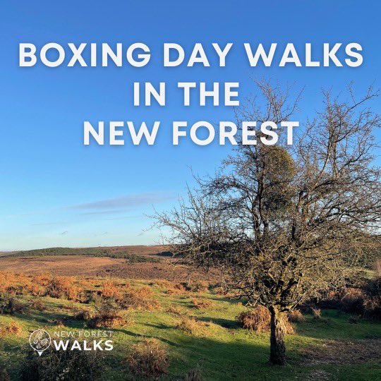 New Forest Walks tweet media