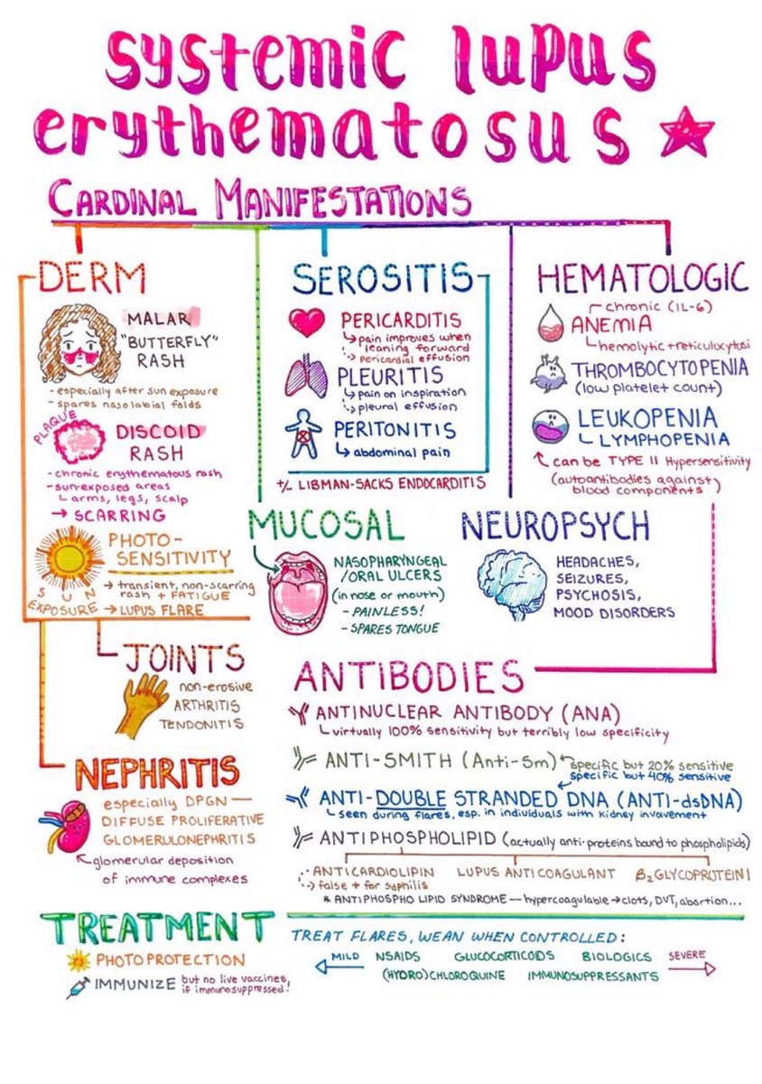 T2TA300's tweet photo. Systematic Lupus Erythematosus https://t.co/EreXs3KrgN