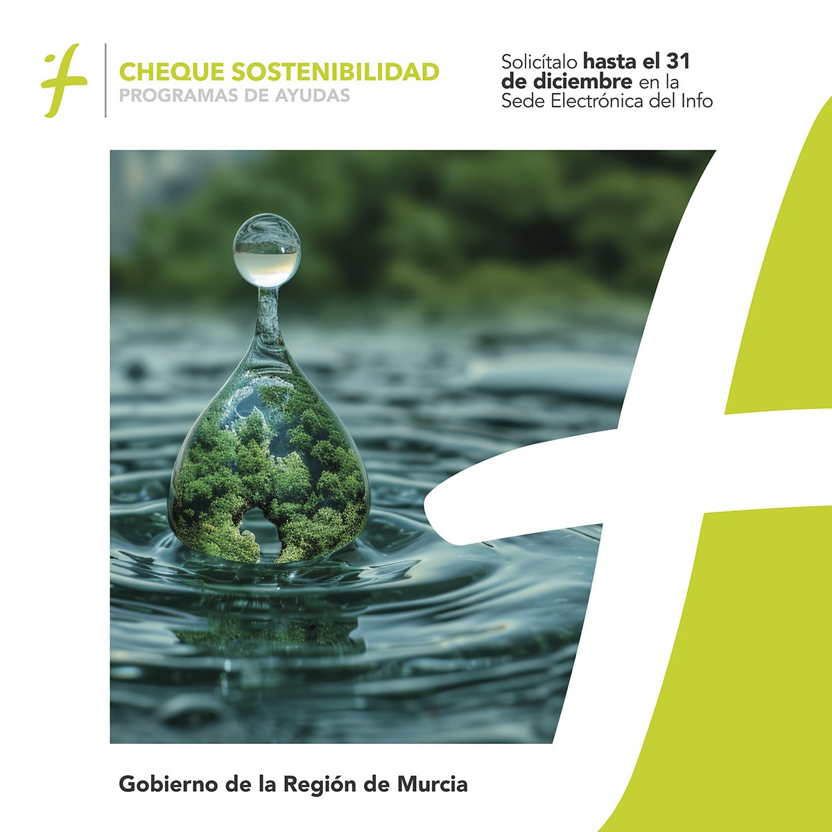 🗣️ ¡Últimos días para solicitar la ayuda!

Conviértete en una pyme más comprometida con la innovación y la sostenibilidad accediendo al Cheque Sostenibilidad del Info. 💡🌱