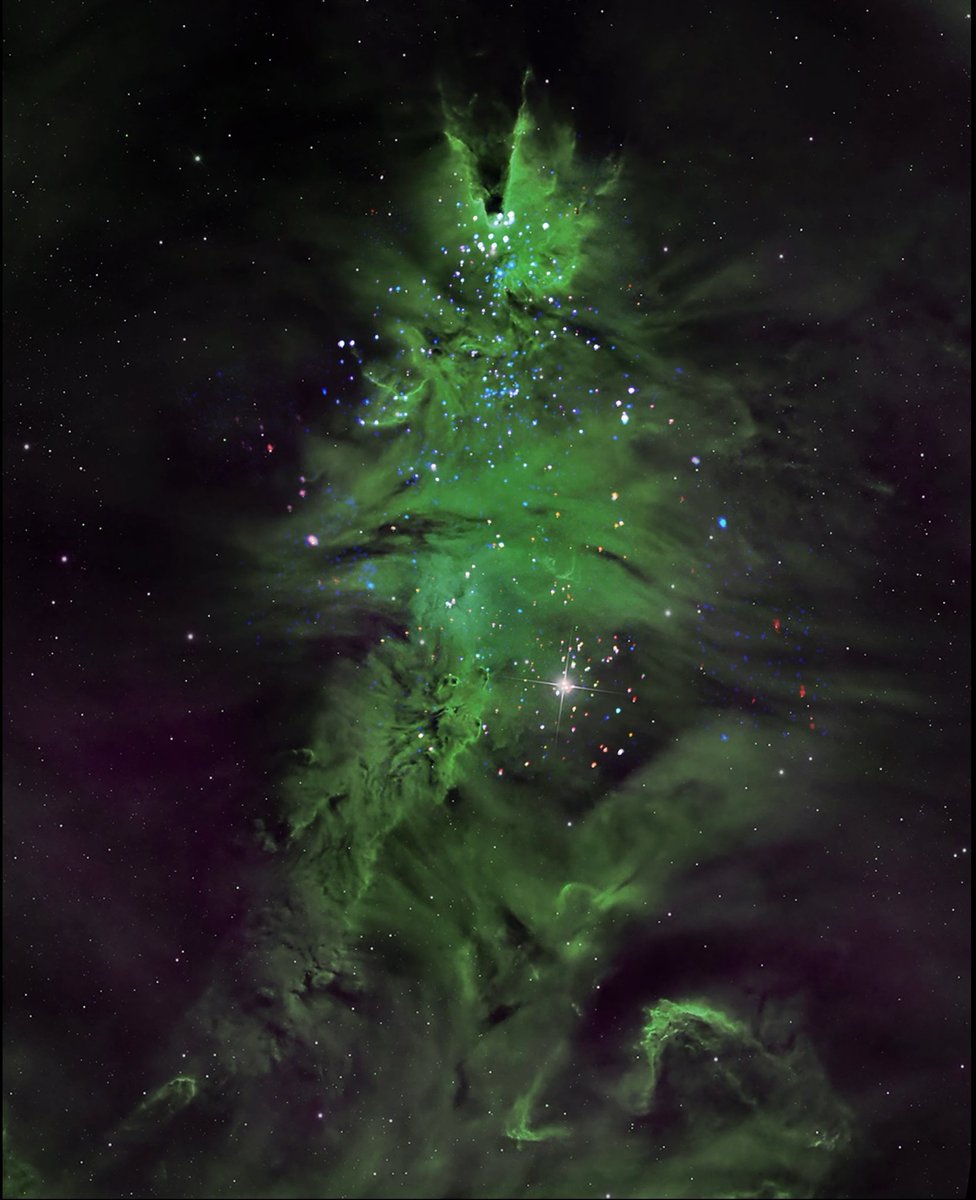 Un sapin de Noël dans l’espace 🎄

NGC 2264, également connu sous le nom de “l’amas du sapin de Noël”, est un groupe d'étoiles âgées de 1 à 5 millions d’années.