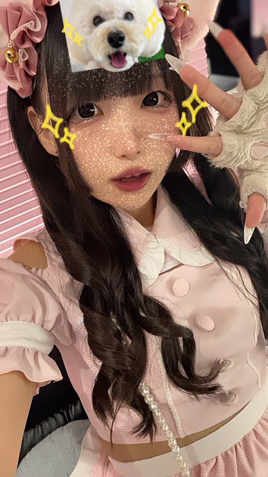 #ねこはじ - ねこはじめました -のツイート