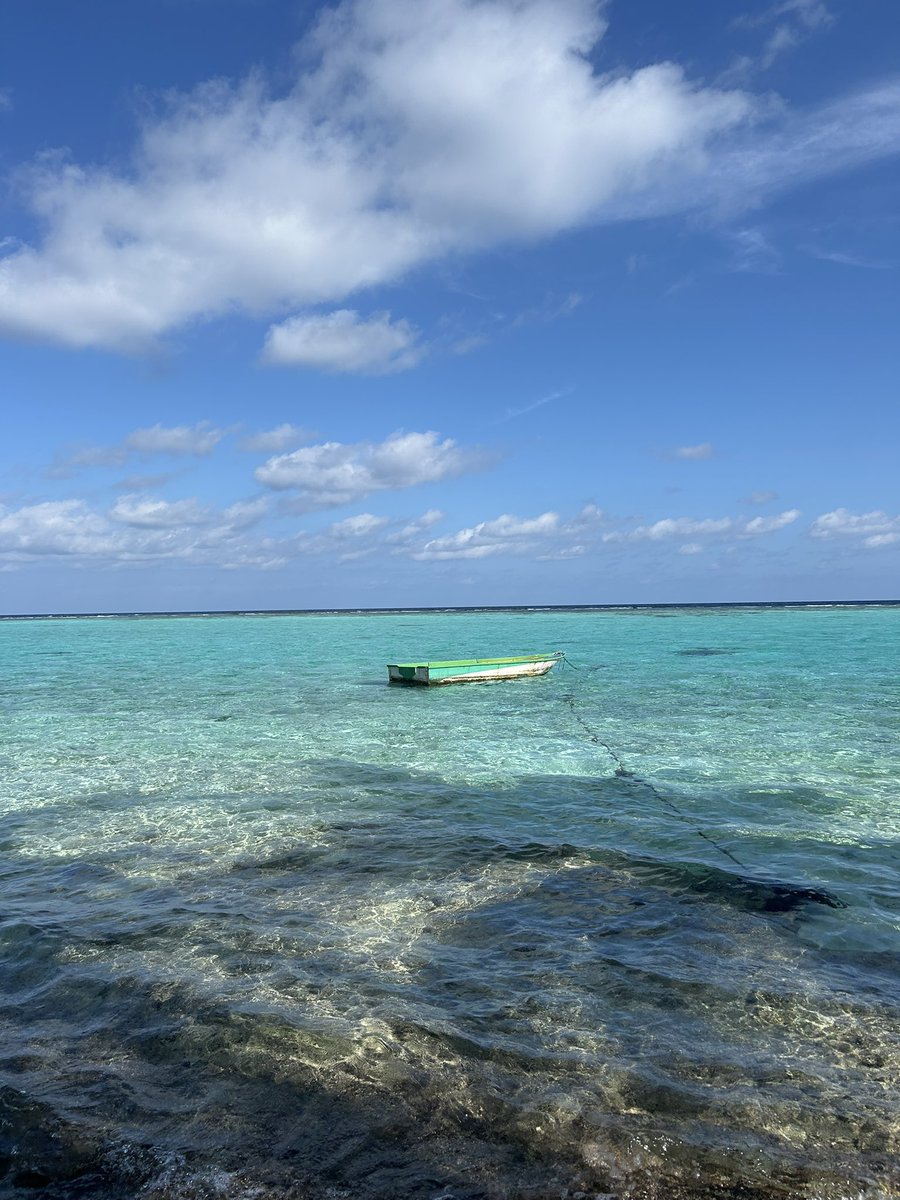 afmnurdin's tweet photo. Love love Maldives🫶💋 https://t.co/wCXz8HGvDN