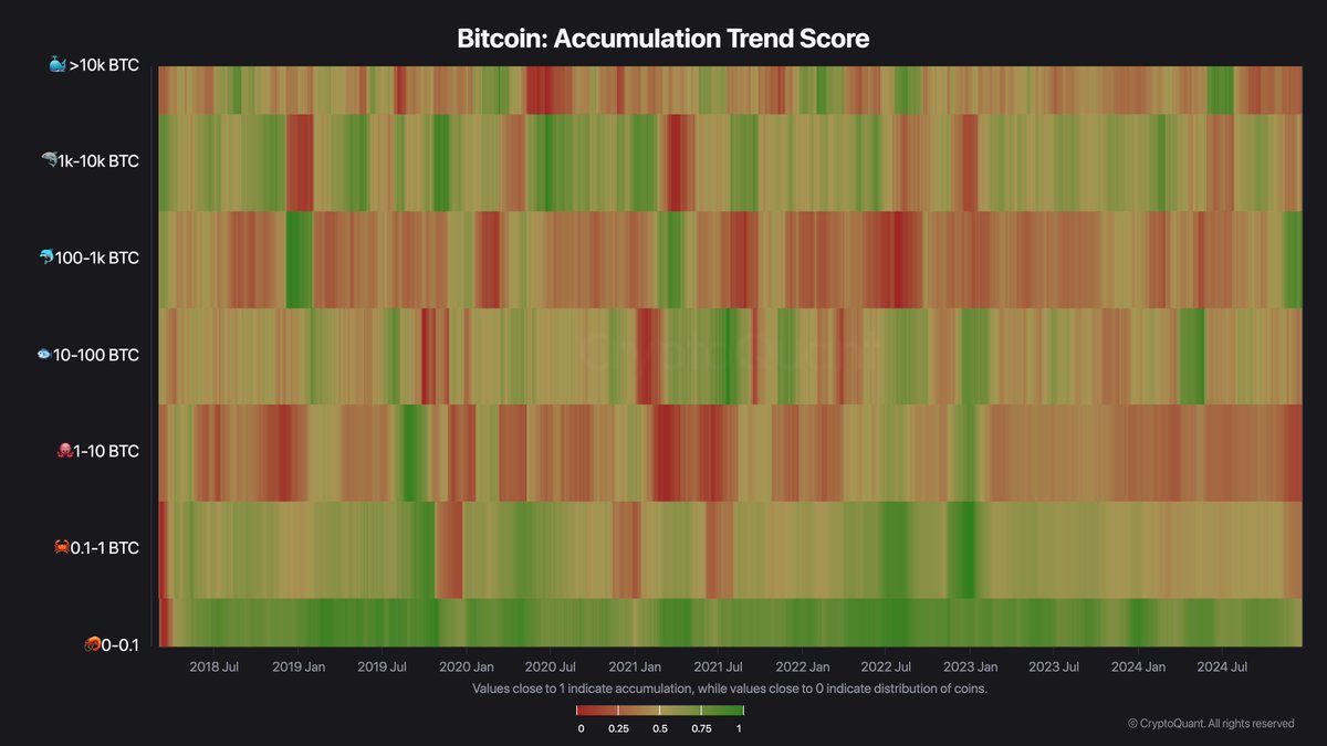 crypto_futur's tweet photo. Suivre le comportement des différentes catégories d'investisseurs est franchement intéressant. 

Ce graph est vraiment pas mal car il distingue 7 catégories en fonction de la quantité de $BTC détenus vis-à-vis de s'ils accumulent ou vendent. 

Les 7 catégories : 
🐳 > 10K $BTC (du lourd) 
🐋 1K - 10K BTC 
🐬 100 - 1K BTC 
🐟 10 - 100 BTC 
🦑 1 - 10 BTC 
🦀 0.1 - 1 BTC 
🦐 0 - 0.1 BTC 

C'est marquant ! Tout le monde vend sauf une seule catégorie 👉 🐬 100 - 1K BTC.

Ces investisseurs proviennent sûrement des ETF BTC étant donné la grosse accumulation que l'on a eu sur les ETF récemment, cela semble coincider. 

Il est interressant de noter que la distribution d'autres adresses n'est pas encore très importante, donc pour le moment l'échange de main semble presque neutre.

Là c'est une autre vue avec une heatmap que l'on ne retrouve pas régulièrement d'ailleurs. 

Elle est très simple à lire, lorsque la catégorie s'approche du vert, et donc de 1 cela veut dire qu'elle accumule et à l'inverse vers le rouge, elle vend. 

Pour le moment, cette demande des 🐬parvient à contenir la distribution d'autres catégories, mais combien de temps cela va-t-il durer ? 

On continuera de suivre ces indicateurs ensemble pour suivre les évolutions de comportements de chaque catégorie et notamment les plus conséquentes. 

En attendant, envoyez l'émoji de votre catégorie en commentaire qu'on puisse se situer entre nous 😉
