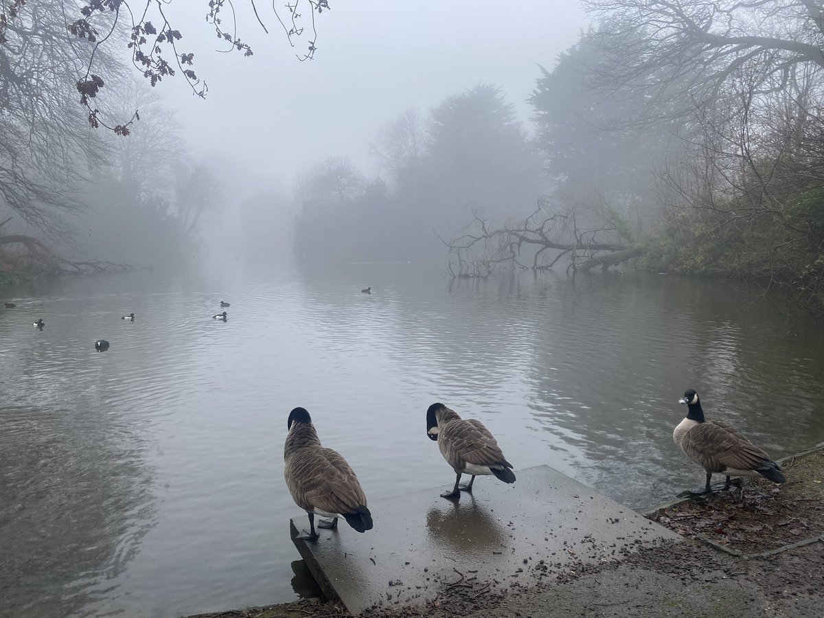 titu_helen's tweet photo. #birkenheadpark #boxingdayrun https://t.co/LQjgU2FeJ2
