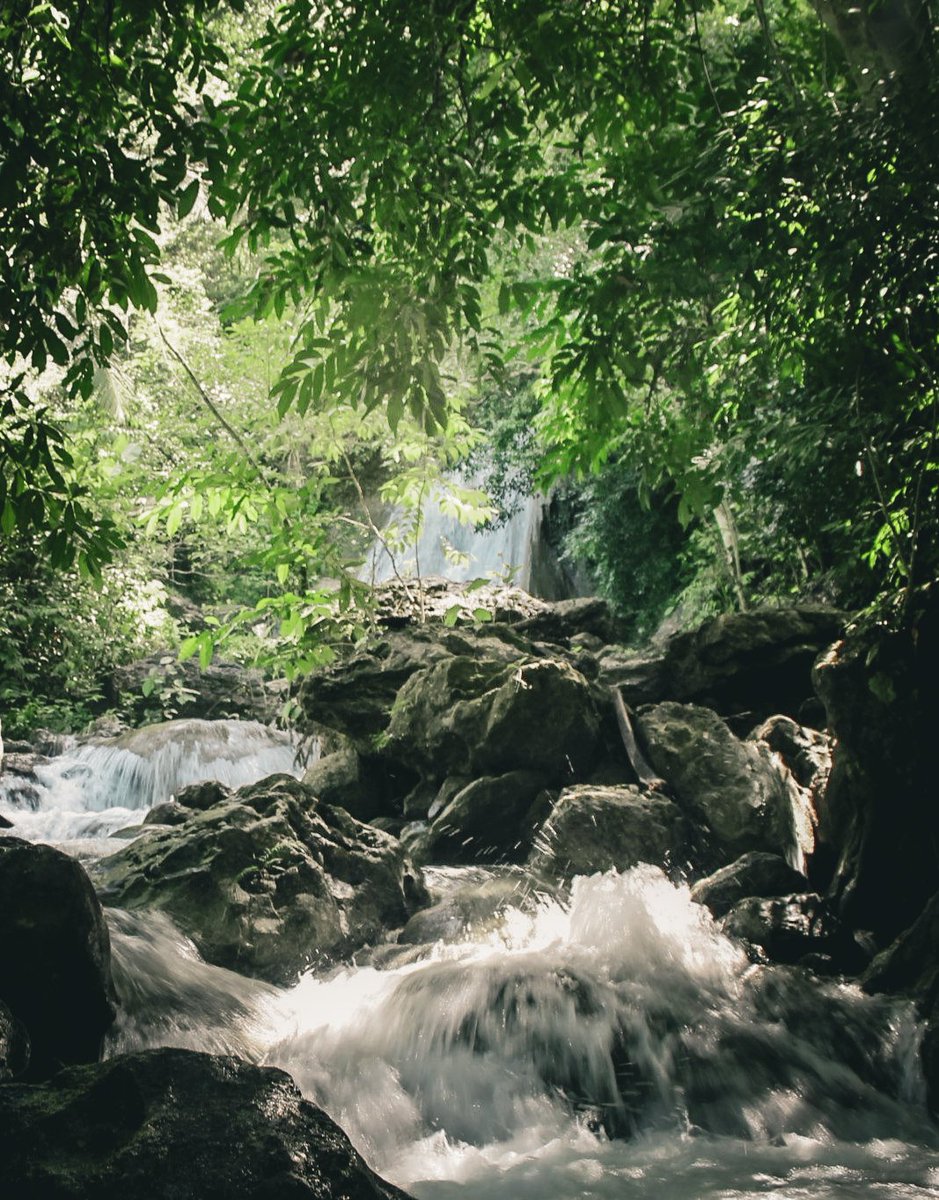 jimielorde's tweet photo. Stream bath 💦

#Leyte #adventure #mountains #outdoorislife #hiking #nature #peace https://t.co/kzRnAiWOS2