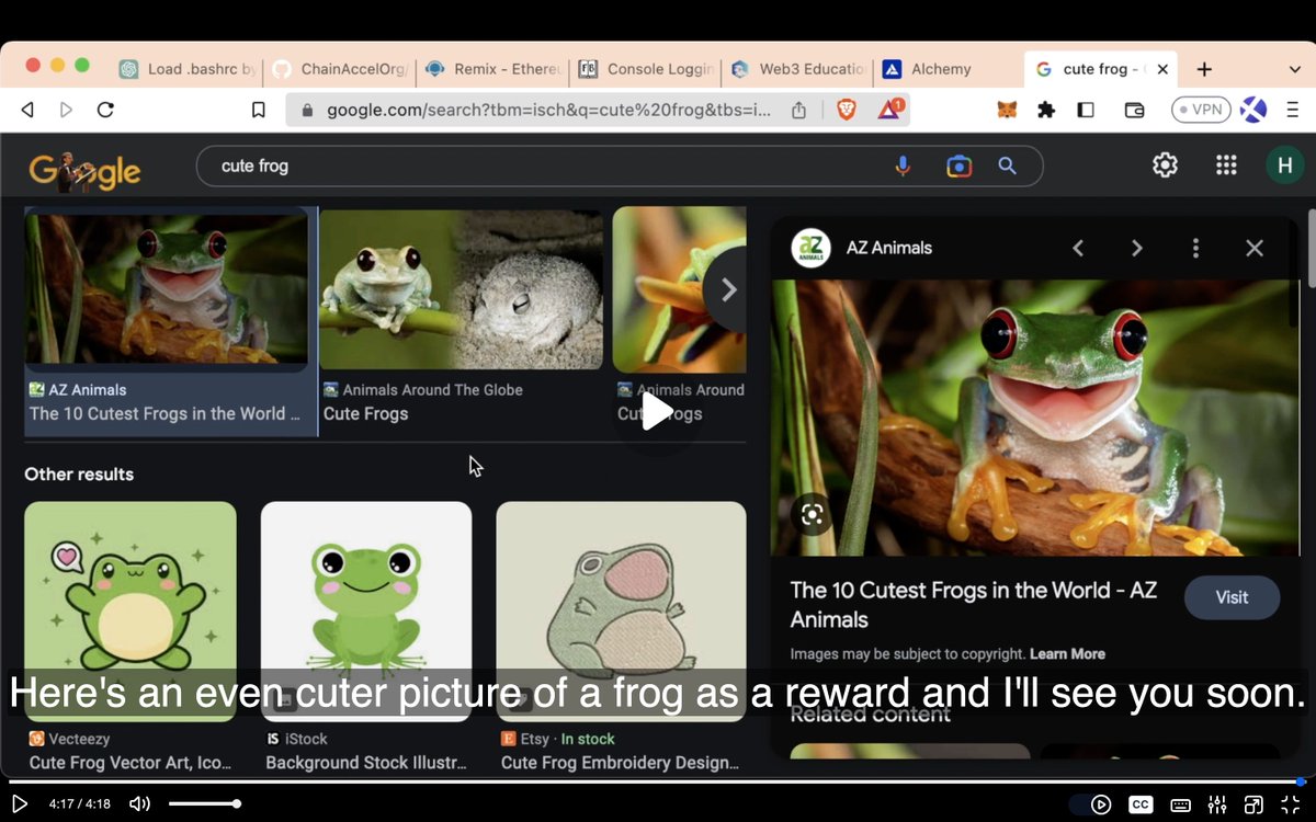 sum1t_here's tweet photo. Learning Foundry with @PatrickAlphaC  like a pro! 🛠️ Just deployed some slick contracts and got rewarded with... a cute frog. 🐸 Breaks are crucial, and so are frogs. 👏 #CodeAndRelax #Foundry #BlockchainDev https://t.co/Od5vhesffW